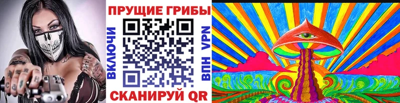 даркнет клад  продажа наркотиков  Тында  Галлюциногенные грибы Psilocybe 